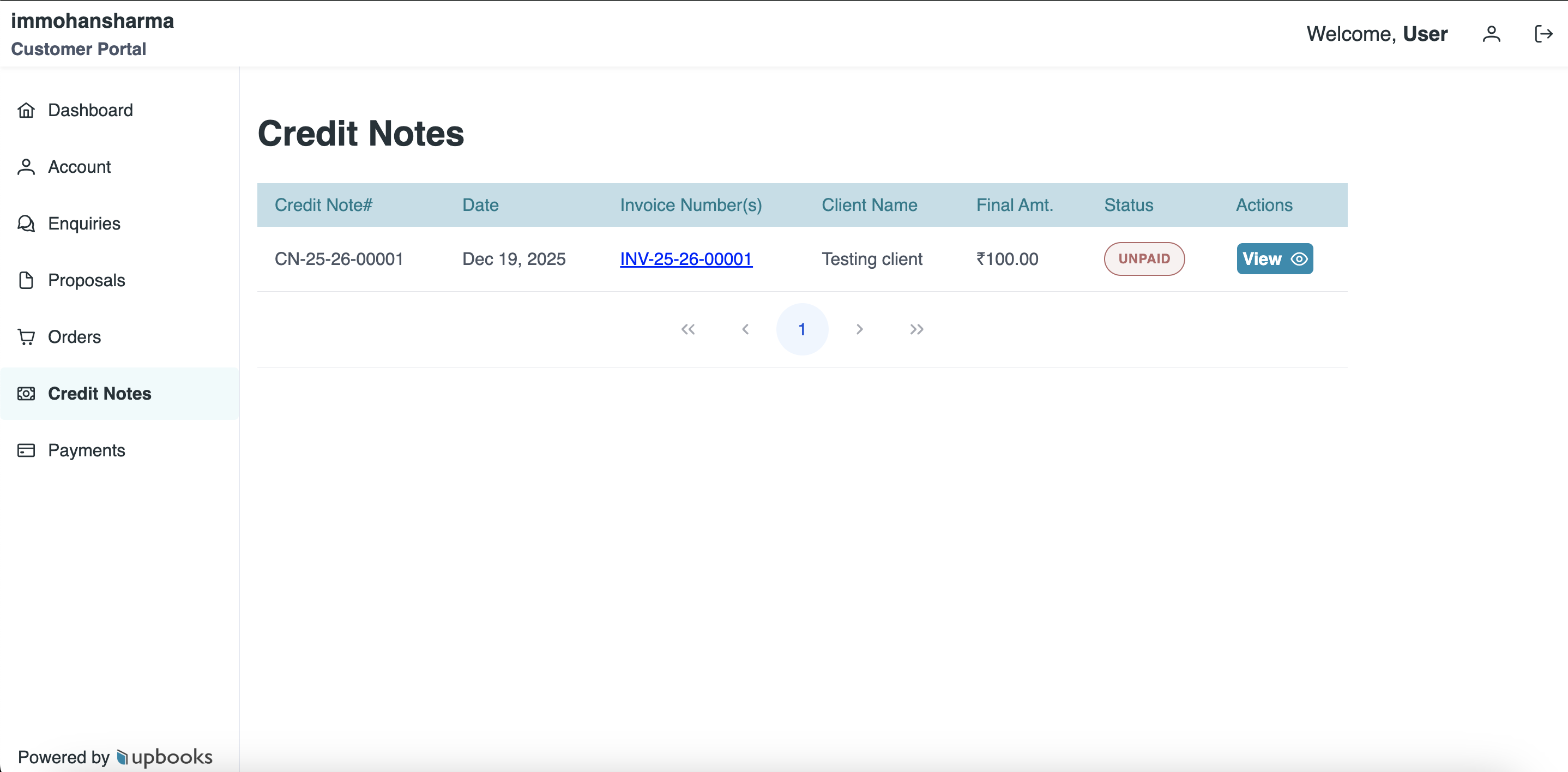 Customer Portal - Credit Notes